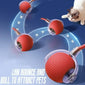 Pet toy ball