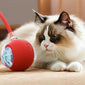 Pet toy ball