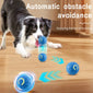Interactive Smart Pet Toy – USB Rechargeable Auto Rolling & Bouncing Ball for Dogs & Cats, Birthday Gift for Puppies, Indoor Fun Toy