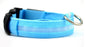 LED Dog Collar – USB Rechargeable, Waterproof Nylon Flashing Light Collar for Night Safety Walking, Adjustable Luminous Pet Accessory for Small & Large Dogs