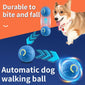 Interactive Smart Pet Toy – USB Rechargeable Auto Rolling & Bouncing Ball for Dogs & Cats, Birthday Gift for Puppies, Indoor Fun Toy