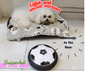 Hover Soccer Ball – Indoor Air-Powered Disc Toy with LED Lights, Safe for Kids & Pets, Fun Family Game