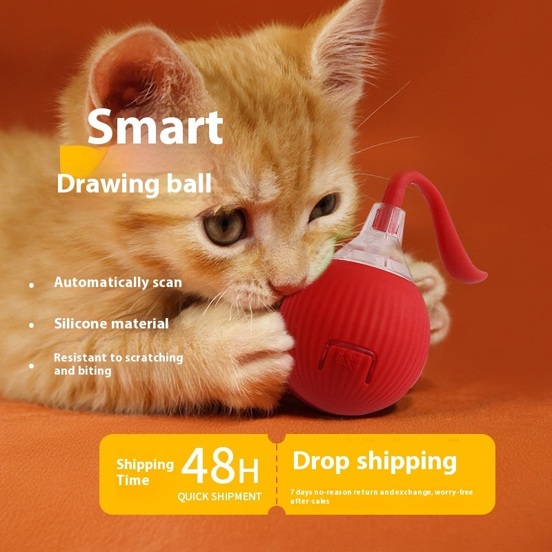 Pet toy ball