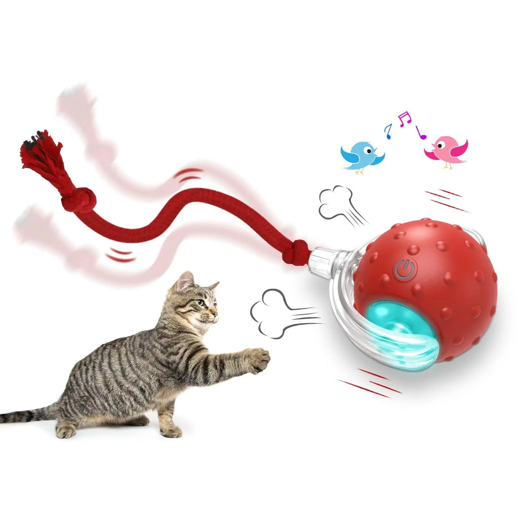 Pet toy ball